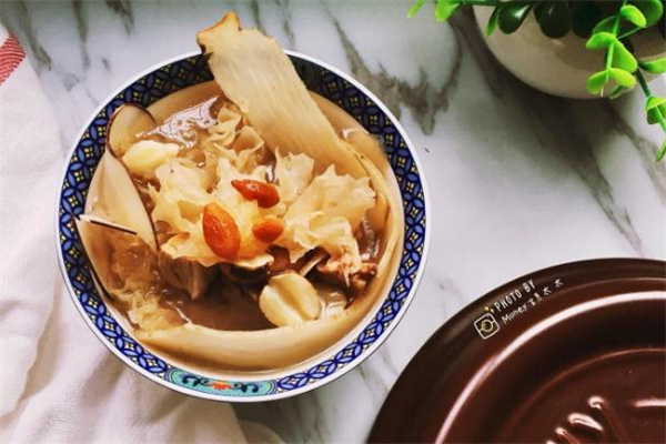 海底椰是什么 海底椰是椰子嗎 海底椰是什么 海底椰是椰子嗎