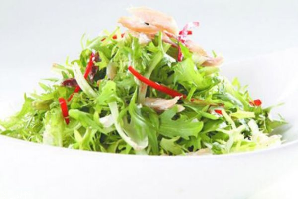 孕婦能吃苦菊嗎 孕婦適量吃苦菊有好處 孕婦能吃苦菊嗎 孕婦適量吃苦菊有好處