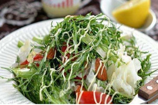 孕婦能吃苦菊嗎 孕婦適量吃苦菊有好處 孕婦能吃苦菊嗎 孕婦適量吃苦菊有好處