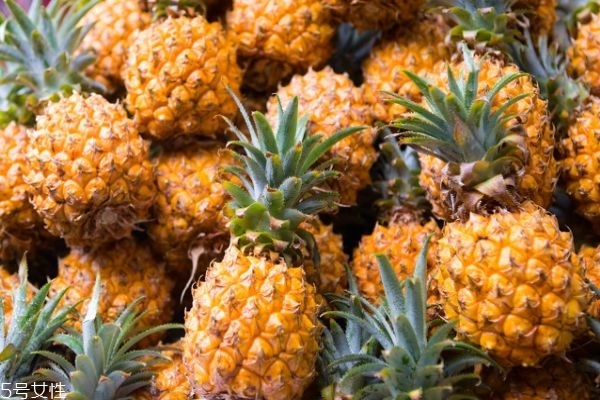 吃菠蘿爛嘴角怎么回事 吃菠蘿嘴角爛了怎么辦 吃菠蘿爛嘴角怎么回事 吃菠蘿嘴角爛了怎么辦