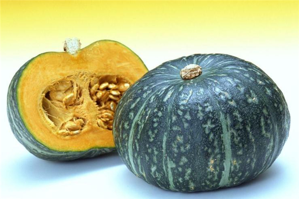 青南瓜的做法大全 滿足你的味蕾 青南瓜的做法大全 滿足你的味蕾