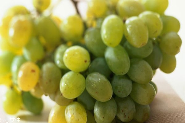 葡萄怎么清洗干凈 葡萄的營(yíng)養(yǎng)價(jià)值及功效 葡萄怎么清洗干凈 葡萄的營(yíng)養(yǎng)價(jià)值及功效