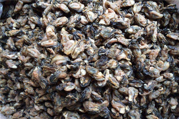 海蠣干怎么吃 海蠣干的做法大全 海蠣干怎么吃 海蠣干的做法大全