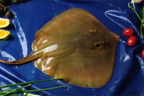 老板魚(yú)怎么做好吃 老板魚(yú)的做法大全 老板魚(yú)怎么做好吃 老板魚(yú)的做法大全