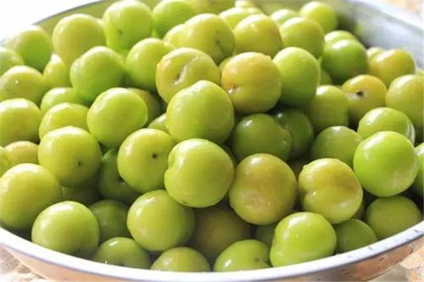 哈密瓜可以和李子一起吃嗎 李子的作用 哈密瓜可以和李子一起吃嗎 李子的作用