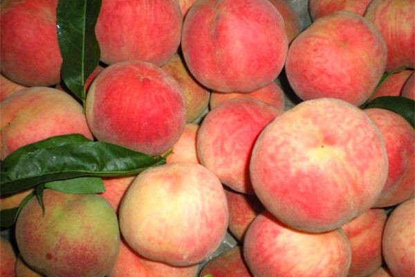 桃子可以和香蕉一起吃嗎 香蕉的作用 桃子可以和香蕉一起吃嗎 香蕉的作用