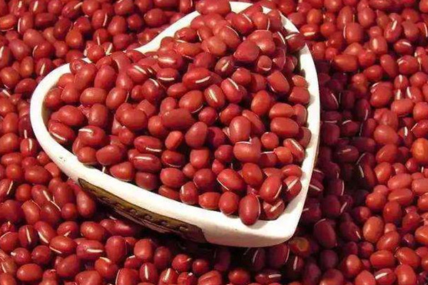 紅豆可以瘦腿嗎 瘦腿的方法 紅豆可以瘦腿嗎 瘦腿的方法