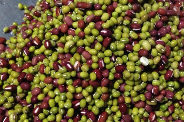 紅豆可以瘦腿嗎 瘦腿的方法 紅豆可以瘦腿嗎 瘦腿的方法