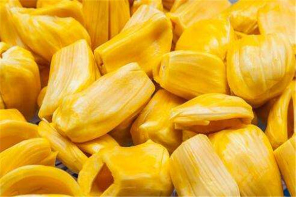 菠蘿蜜可以和牛奶一起吃嗎 菠蘿蜜的吃法 菠蘿蜜可以和牛奶一起吃嗎 菠蘿蜜的吃法