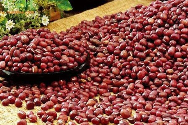 紅豆為什么能減肥 看了就了解 紅豆為什么能減肥 看了就了解