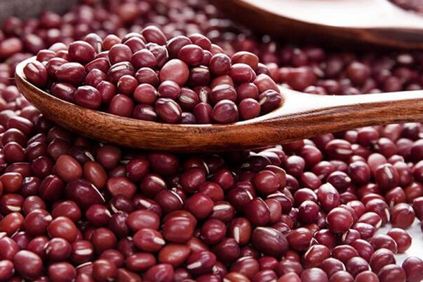 紅豆為什么能減肥 看了就了解 紅豆為什么能減肥 看了就了解