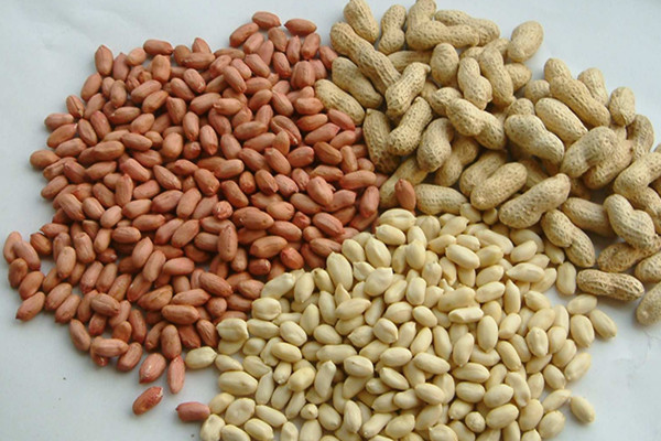 花生可以和牛奶一起吃嗎 花生和牛奶一起吃的作用 花生可以和牛奶一起吃嗎 花生和牛奶一起吃的作用