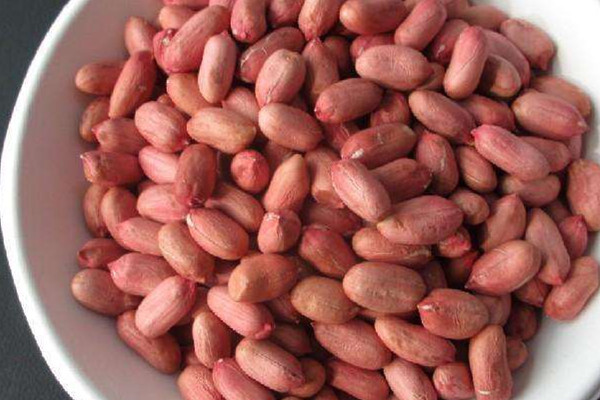 花生可以和牛奶一起吃嗎 花生和牛奶一起吃的作用 花生可以和牛奶一起吃嗎 花生和牛奶一起吃的作用