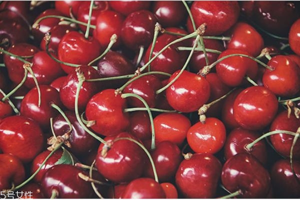 車(chē)?yán)遄邮裁磿r(shí)候上市 車(chē)?yán)遄映墒旒竟?jié)