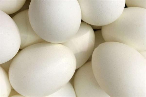鵝蛋不能和什么一起吃 吃鵝蛋的禁忌 鵝蛋不能和什么一起吃 吃鵝蛋的禁忌