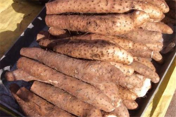 山藥能不能多吃 山藥吃多了好嗎 山藥能不能多吃 山藥吃多了好嗎