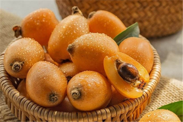 枇杷葉能和梨一起煮嗎 枇杷葉的作用 枇杷葉能和梨一起煮嗎 枇杷葉的作用