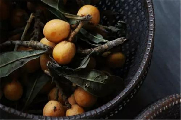 枇杷葉能吃嗎 枇杷葉怎么吃好 枇杷葉能吃嗎 枇杷葉怎么吃好