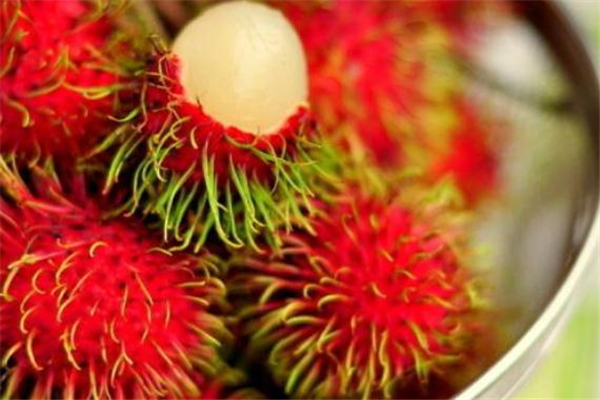 紅毛丹吃了會(huì)過敏嗎 吃紅毛丹過敏癥狀 紅毛丹吃了會(huì)過敏嗎 吃紅毛丹過敏癥狀