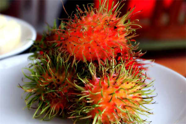 紅毛丹吃了會(huì)過敏嗎 吃紅毛丹過敏癥狀 紅毛丹吃了會(huì)過敏嗎 吃紅毛丹過敏癥狀