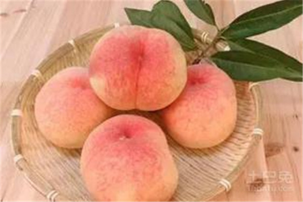 桃子是熱帶水果嗎 桃子是什么季節(jié)的水果 桃子是熱帶水果嗎 桃子是什么季節(jié)的水果