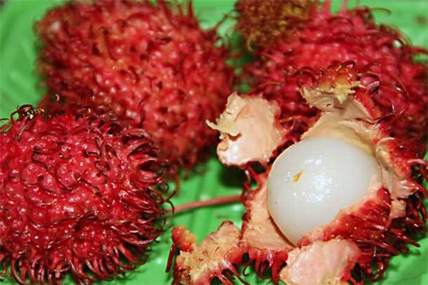 紅毛丹吃了能喝酒嗎 喝酒可以吃紅毛丹嗎 紅毛丹吃了能喝酒嗎 喝酒可以吃紅毛丹嗎