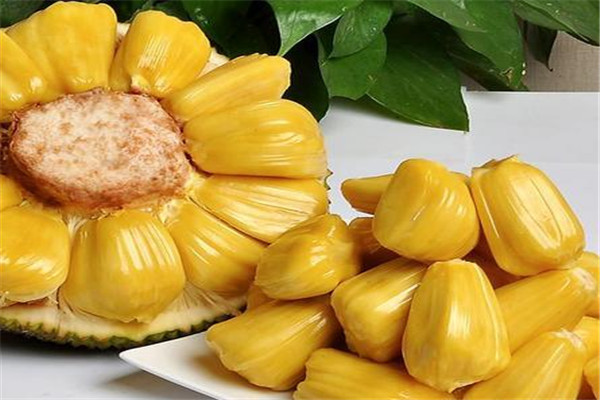 菠蘿蜜有黑點(diǎn)能吃嗎 菠蘿蜜的功效與營養(yǎng)是什么 菠蘿蜜有黑點(diǎn)能吃嗎 菠蘿蜜的功效與營養(yǎng)是什么