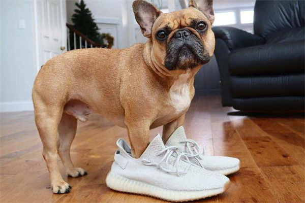 抽到y(tǒng)eezy什么時(shí)候去排隊(duì) 抽中yeezy可以不領(lǐng)嗎 抽到y(tǒng)eezy什么時(shí)候去排隊(duì) 抽中yeezy可以不領(lǐng)嗎