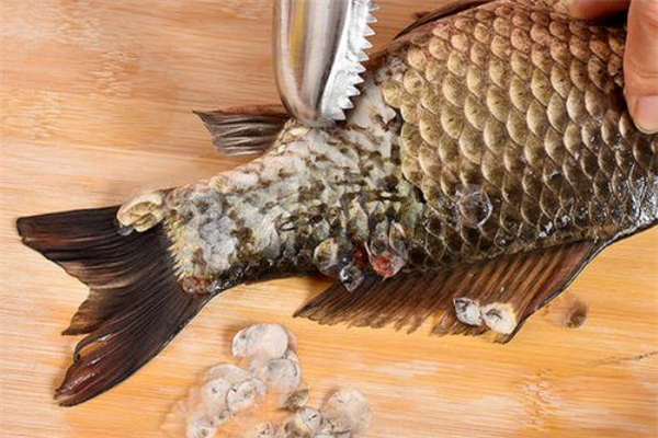 魚鱗屬于什么垃圾 魚鱗是濕垃圾嗎 魚鱗屬于什么垃圾 魚鱗是濕垃圾嗎