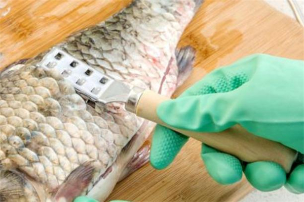 魚鱗屬于什么垃圾 魚鱗是濕垃圾嗎 魚鱗屬于什么垃圾 魚鱗是濕垃圾嗎