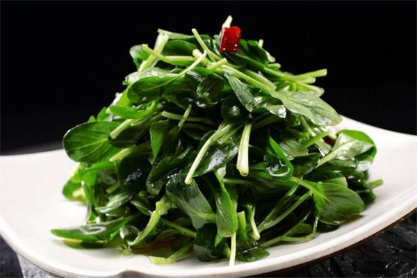 雞毛菜的熱量是多少 雞毛菜熱量高嗎 雞毛菜的熱量是多少 雞毛菜熱量高嗎