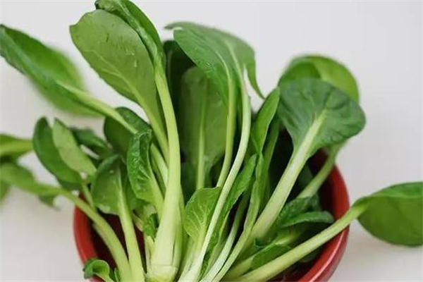 雞毛菜的熱量是多少 雞毛菜熱量高嗎 雞毛菜的熱量是多少 雞毛菜熱量高嗎