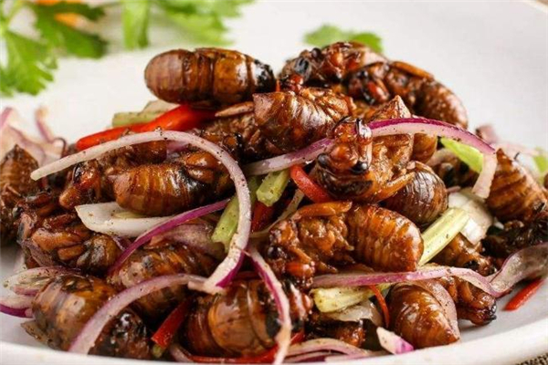 男人吃知了猴補腎嗎 男人吃知了猴有什么好處 男人吃知了猴補腎嗎 男人吃知了猴有什么好處