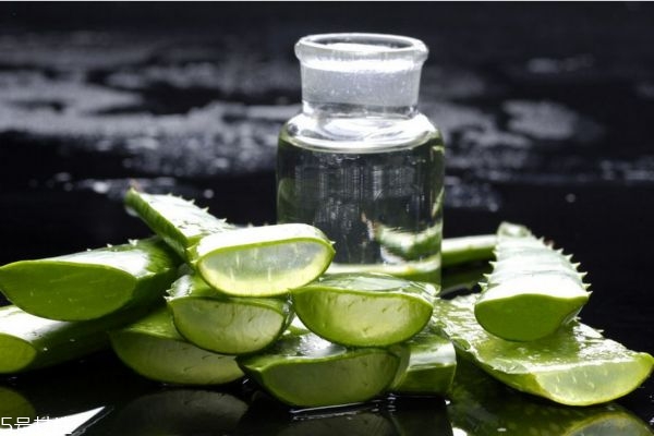 蘆薈膠有副作用嗎 蘆薈膠沒有副作用 蘆薈膠有副作用嗎 蘆薈膠沒有副作用