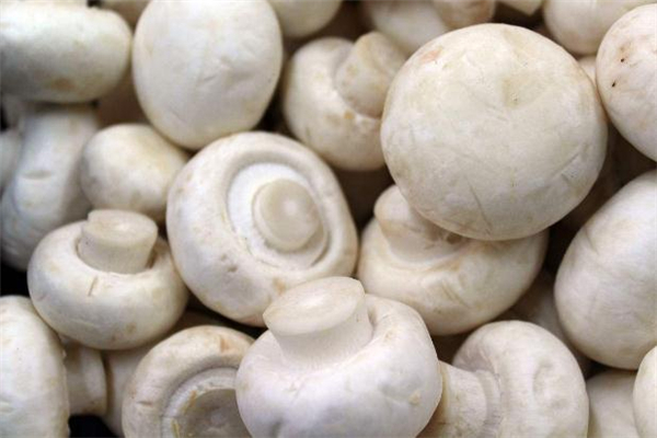 口蘑寶寶可以吃嗎 寶寶吃口蘑的做法大全 口蘑寶寶可以吃嗎 寶寶吃口蘑的做法大全