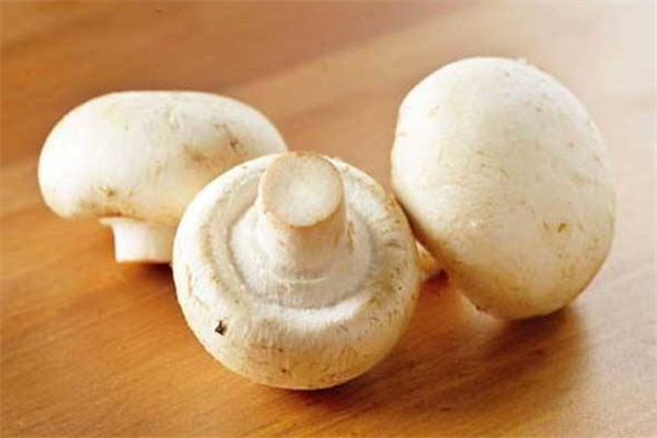 口蘑寶寶可以吃嗎 寶寶吃口蘑的做法大全 口蘑寶寶可以吃嗎 寶寶吃口蘑的做法大全