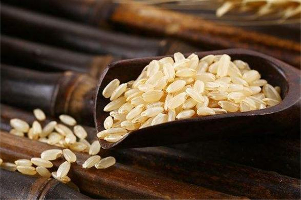 糙米茶可以天天喝嗎 糙米茶什么時(shí)候喝最好 糙米茶可以天天喝嗎 糙米茶什么時(shí)候喝最好