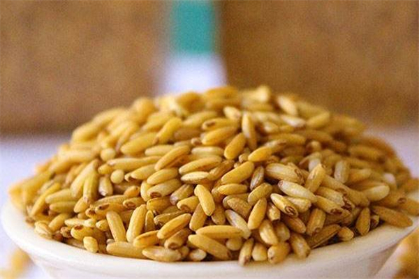 糙米茶什么人不能喝 糙米茶不能和什么一起喝 糙米茶什么人不能喝 糙米茶不能和什么一起喝