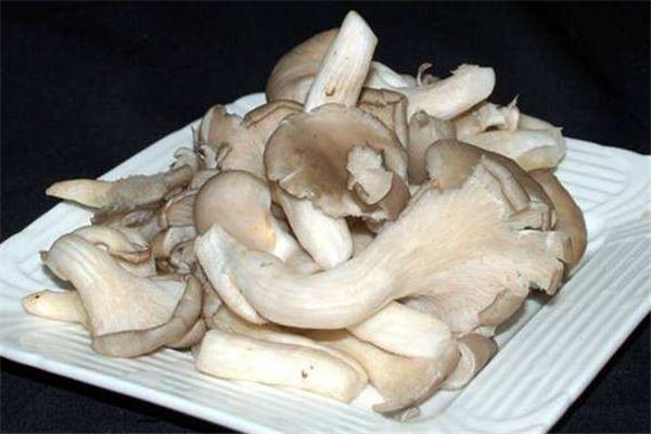 平菇變綠了還能吃嗎 平菇變綠是怎么回事 平菇變綠了還能吃嗎 平菇變綠是怎么回事