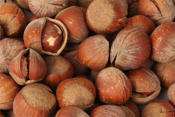 減肥能吃榛子嗎 晚上吃榛子會胖嗎 減肥能吃榛子嗎 晚上吃榛子會胖嗎