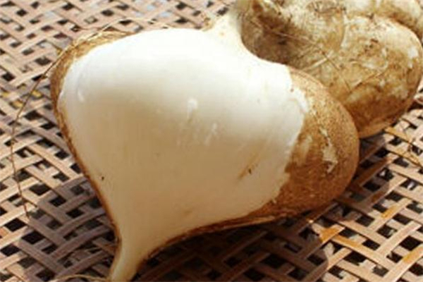 涼薯生吃好吃嗎 涼薯生吃什么味道 涼薯生吃好吃嗎 涼薯生吃什么味道