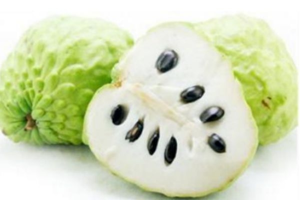 吃釋迦果有什么注意的呢 什么人群不能吃釋迦果呢 吃釋迦果有什么注意的呢 什么人群不能吃釋迦果呢