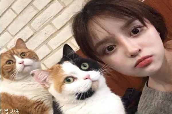 今秋染什么發(fā)色顯皮膚白 今年流行這5款神仙發(fā)色 今秋染什么發(fā)色顯皮膚白 今年流行這5款神仙發(fā)色