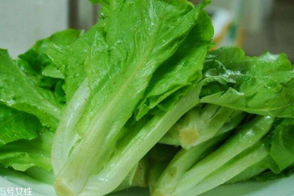 吃西生菜有什么注意呢 西生菜有什么禁忌呢 吃西生菜有什么注意呢 西生菜有什么禁忌呢