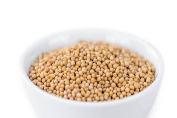 白芥子有什么副作用呢 什么人群不能吃白芥子呢 白芥子有什么副作用呢 什么人群不能吃白芥子呢