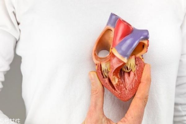 男女的心臟位置一樣嗎 男女心臟有什么區(qū)別 男女的心臟位置一樣嗎 男女心臟有什么區(qū)別