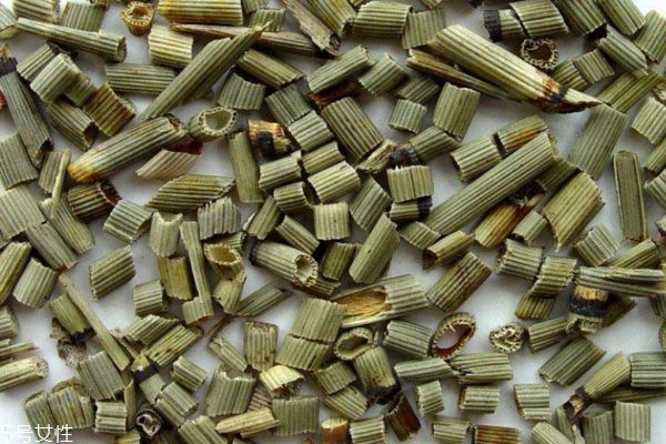 什么是木賊呢 木賊有什么作用呢 什么是木賊呢 木賊有什么作用呢