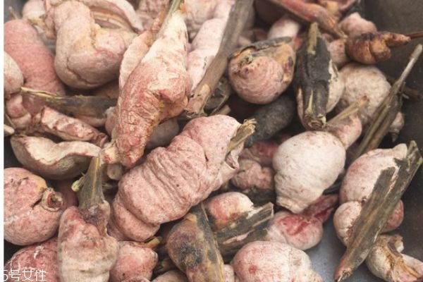 什么是竹黃呢 竹黃有什么作用呢 什么是竹黃呢 竹黃有什么作用呢