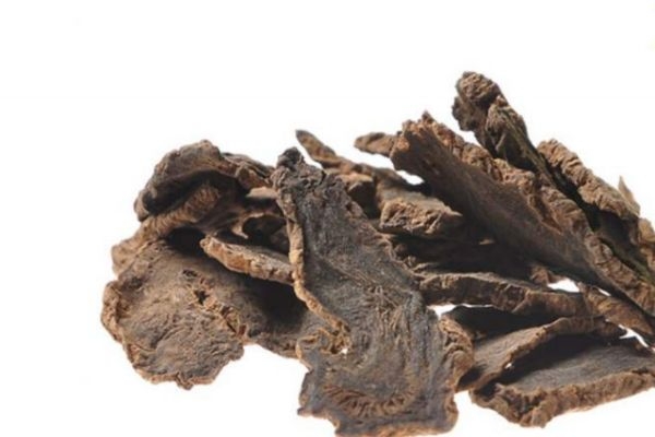 玄參有什么作用呢 玄參生長在什么環(huán)境里呢 玄參有什么作用呢 玄參生長在什么環(huán)境里呢