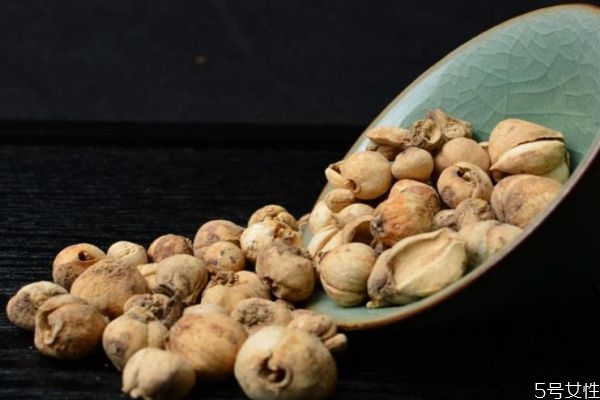 什么是大貝母呢 大貝母有什么藥用價值呢 什么是大貝母呢 大貝母有什么藥用價值呢